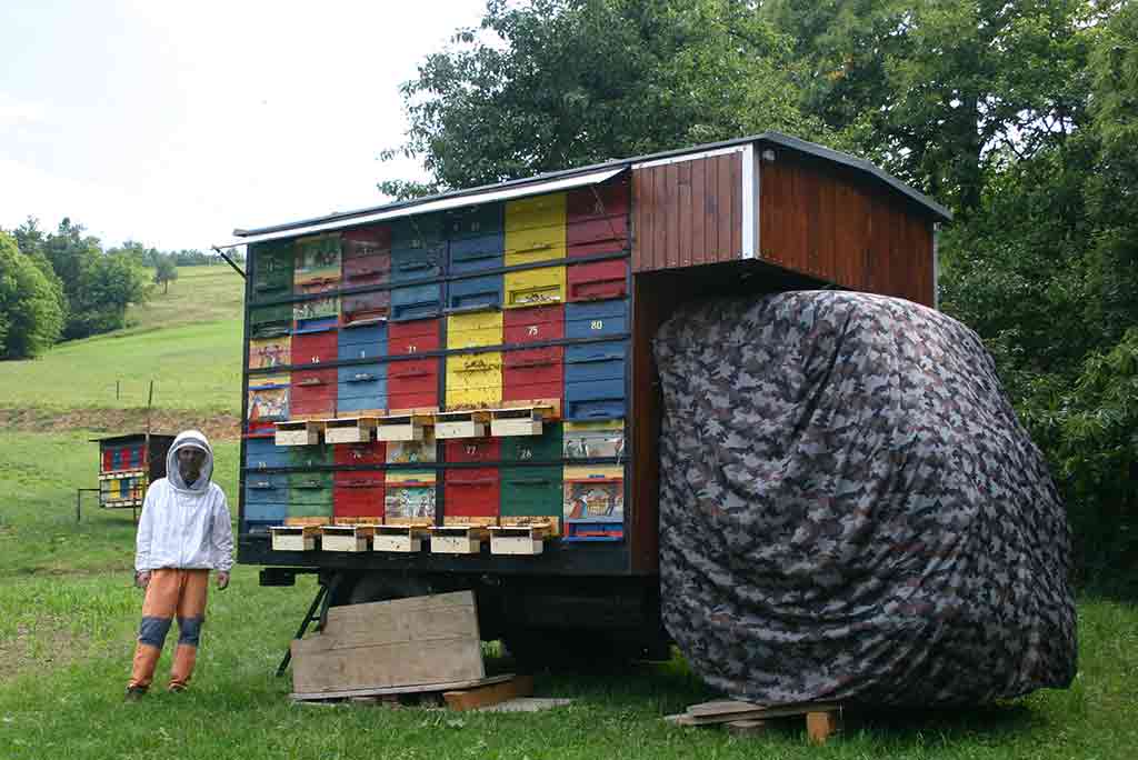beekeeping slovenian az hives