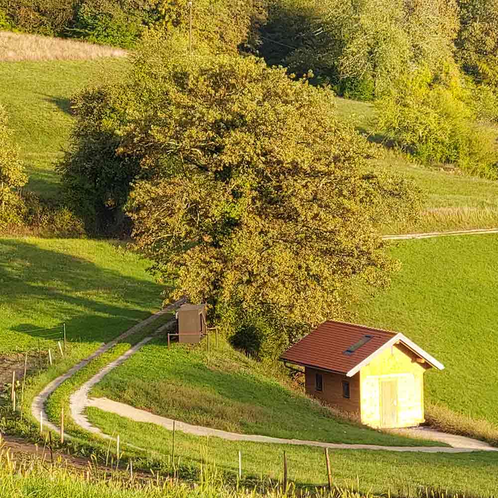 About Apiary area