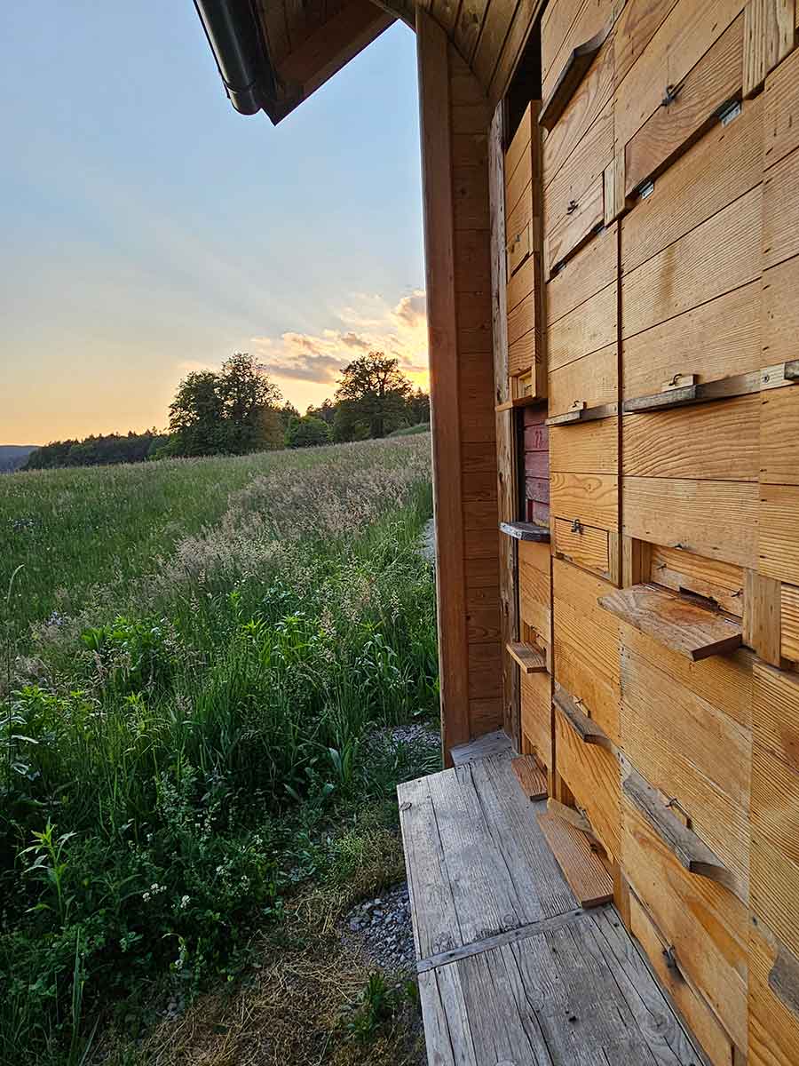 About Beehouse apiary
