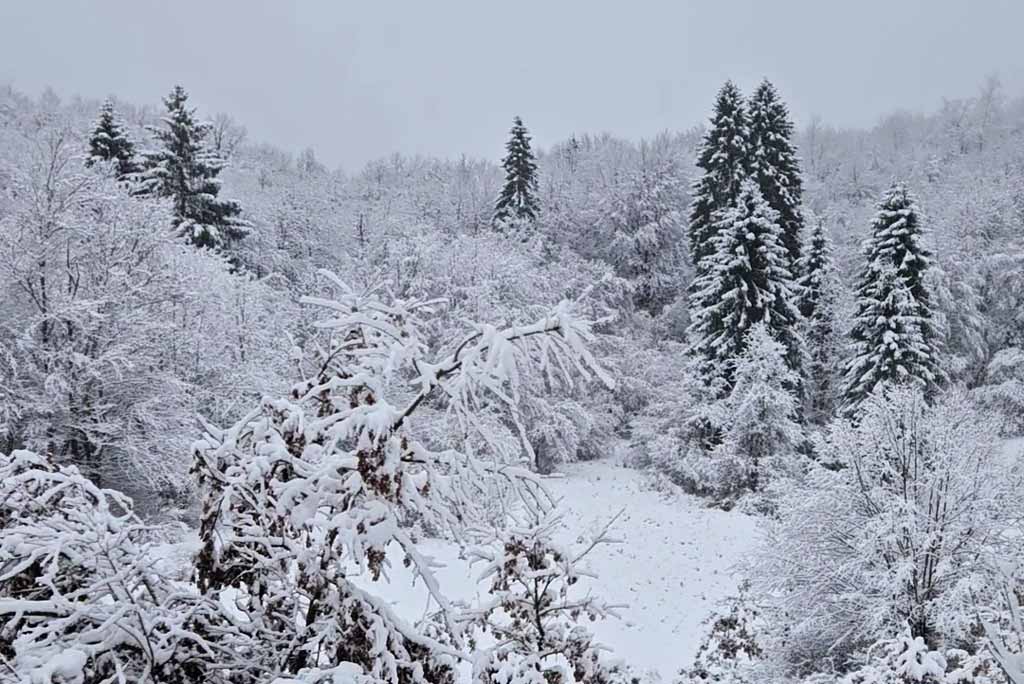 running winter korinj